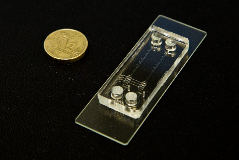 The tiny microfluidic chip. 