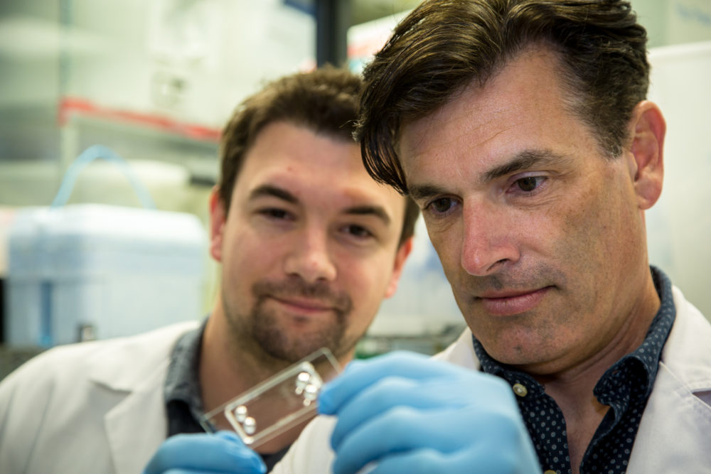 Dr Warwick Nesbitt (right) and PhD student Crispin Szydzik examine the microfluidic blood platelet analyzer.