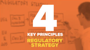 4 Key Principals - Regulatory Strategy
