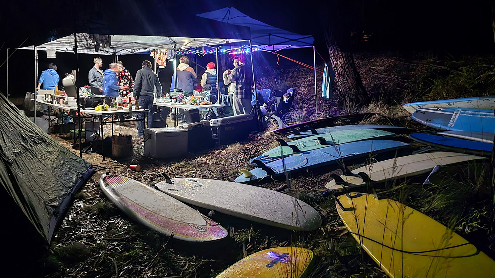 PI Surf Night